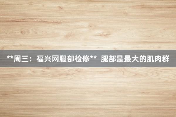 **周三：福兴网腿部检修**  腿部是最大的肌肉群