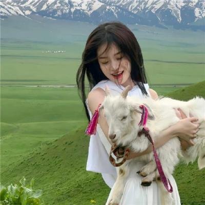 全员射杀